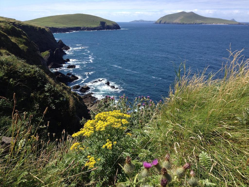 An Portan Guest House Dunquin Exterior photo